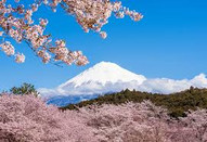 日本留学