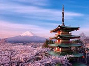 芥末留學