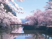 芥末留學
