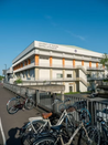 日本留学