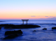 日本留學