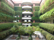 韓國亞洲大學