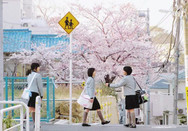 日本留學