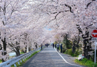 日本留學