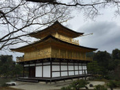 日本留學