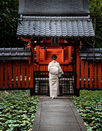 日本留学