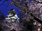 芥末留學