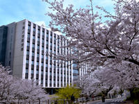 日本专门学校