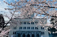 日本留學