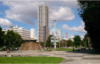 芥末留学