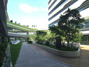新加坡留學(xué)