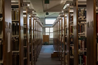 日本留学