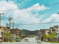 日本留学