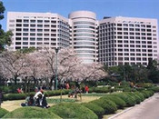 芥末留学