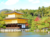 日本留學,日本名古屋