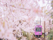 日本留學