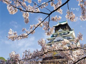 日本語言學(xué)校