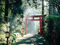 日本语言学校学费