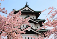 日本语言学校免费申请