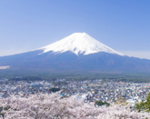 日本留學