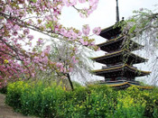 日本留學(xué)