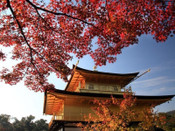 日本留學(xué)