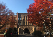 日本留学