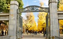 日本大學直申