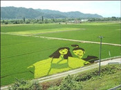 芥末留學(xué)