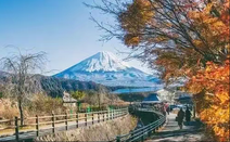 日本語言學校
