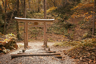 日本留学