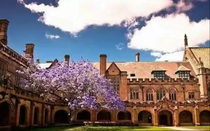 悉尼大學