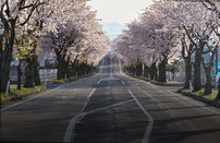 日本留学
