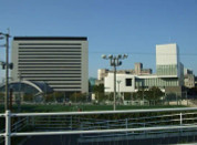 日本留學(xué)
