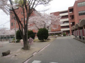日本留學(xué)