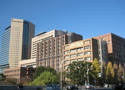 日本留学