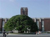 芥末留學