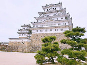 日本留學