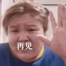 日本野雞大學