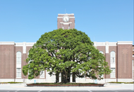 日本留学