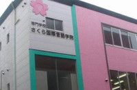 芥末留學
