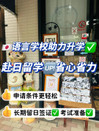 芥末留學