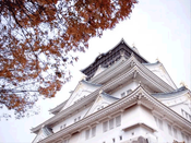 日本本科留學