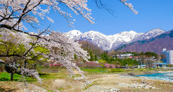 日本留學