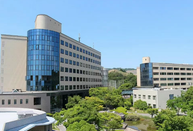 日本留學(xué)