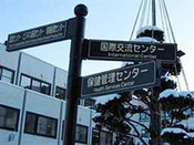 芥末留學