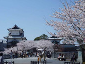 日本留學(xué)
