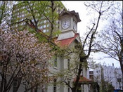 芥末留学