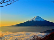芥末留学