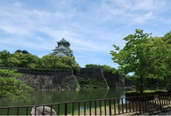 芥末留学